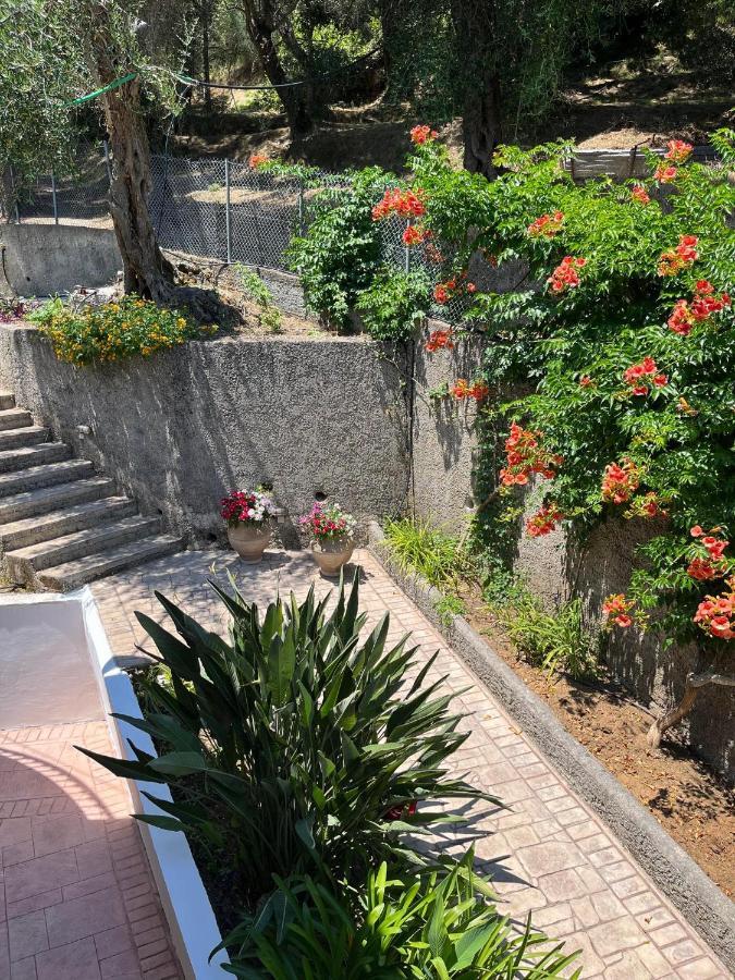 Apartment Sofia Benitses (Corfu)