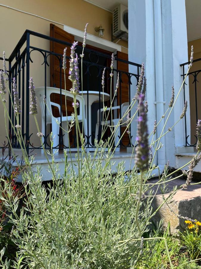 Sofia Apartment Benitses (Corfu)